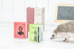 高価買取されるのはこんな漫画!見極める方法5選!