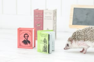 専門書が高く売れる!評判の良いおすすめの買取サイト３選