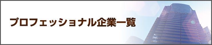 プロフェッショナル企業一覧